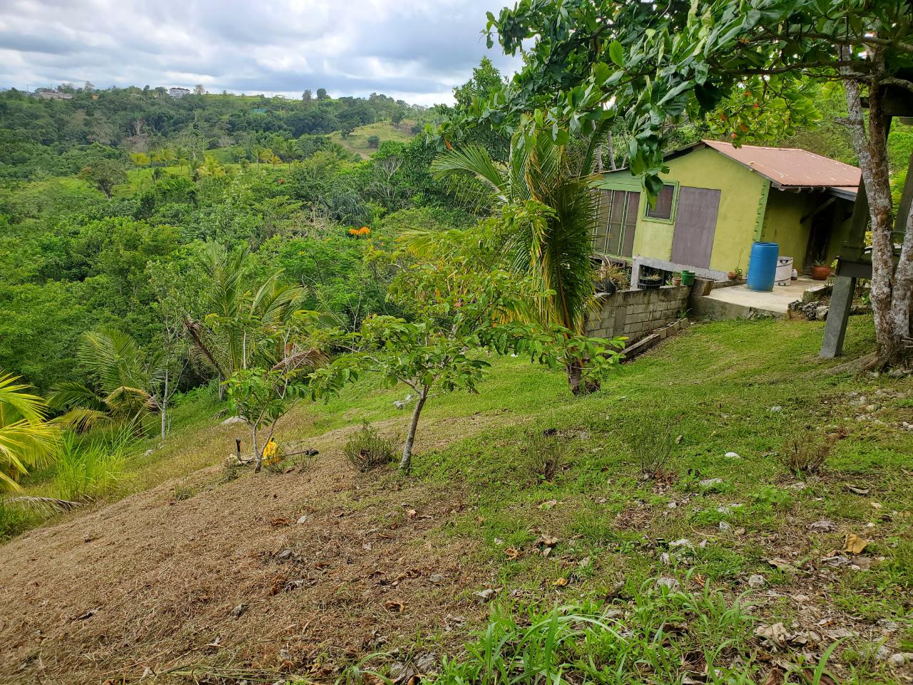 5-Acres-of-Ocean-View-Land-for-Sale-in-St.-Ann-Jamaica Nineteenth image of 215 Free Hill in St. Ann's Bay, St. Ann, Jamaica - property is For Sale