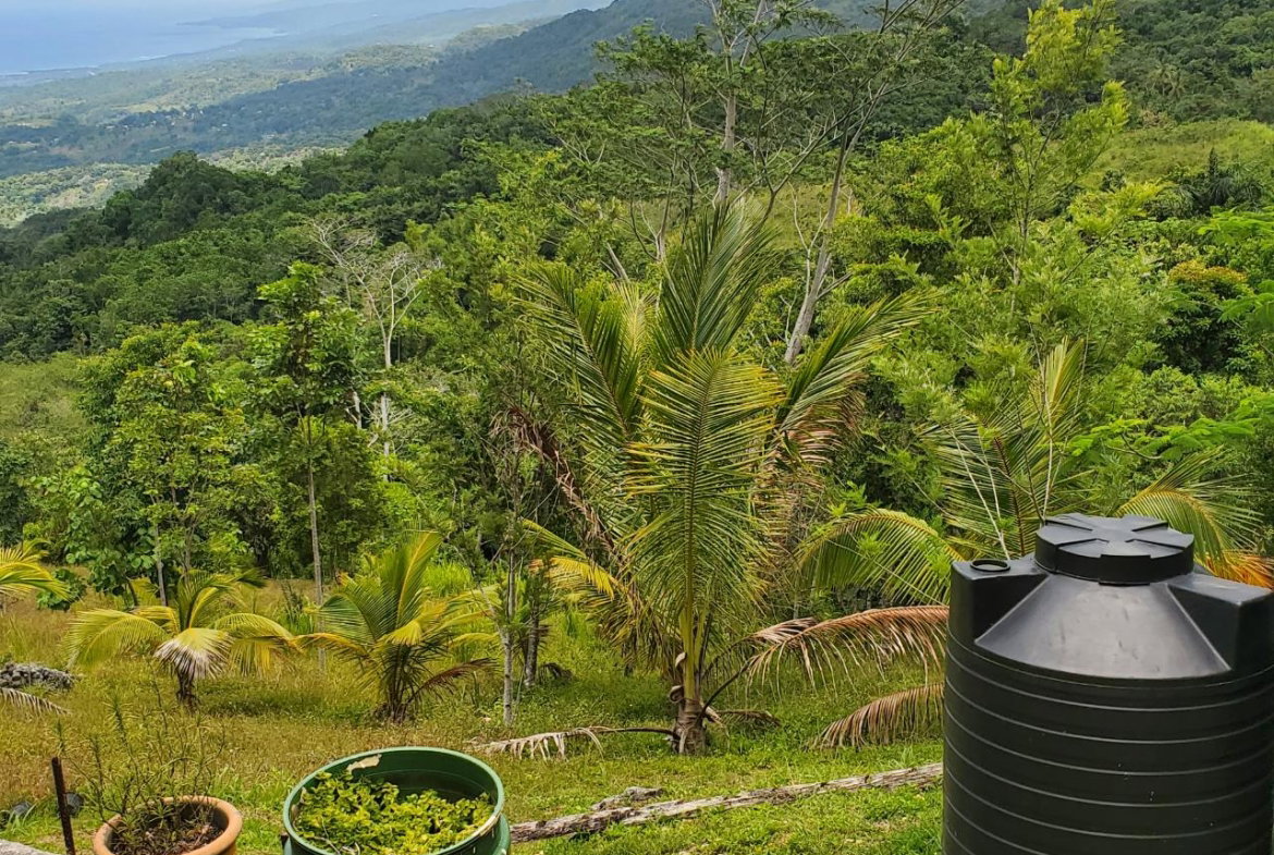 Third image of 215 Free Hill in St. Ann's Bay, St. Ann, Jamaica - property is For Sale