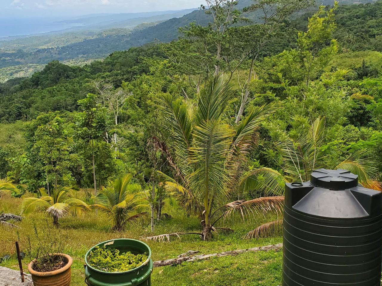 5-Acres-of-Ocean-View-Land-for-Sale-in-St.-Ann-Jamaica Third image of 215 Free Hill in St. Ann's Bay, St. Ann, Jamaica - property is For Sale