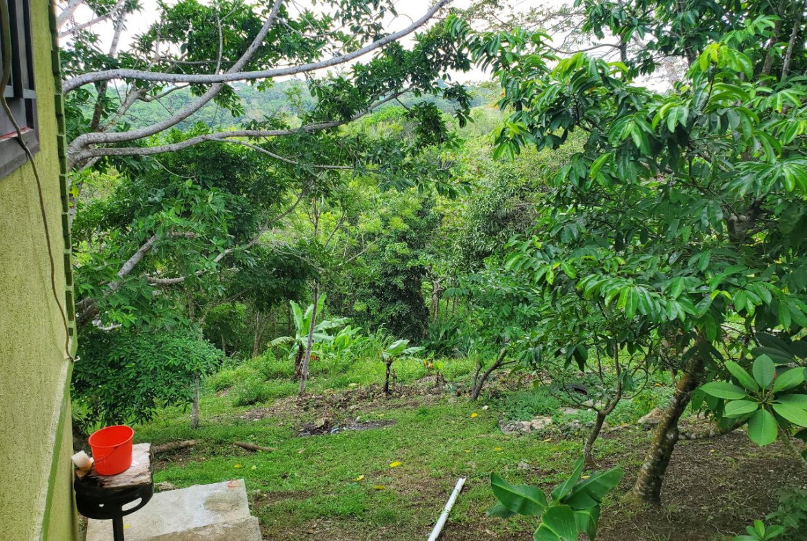 Twenty-First image of 215 Free Hill in St. Ann's Bay, St. Ann, Jamaica - property is For Sale