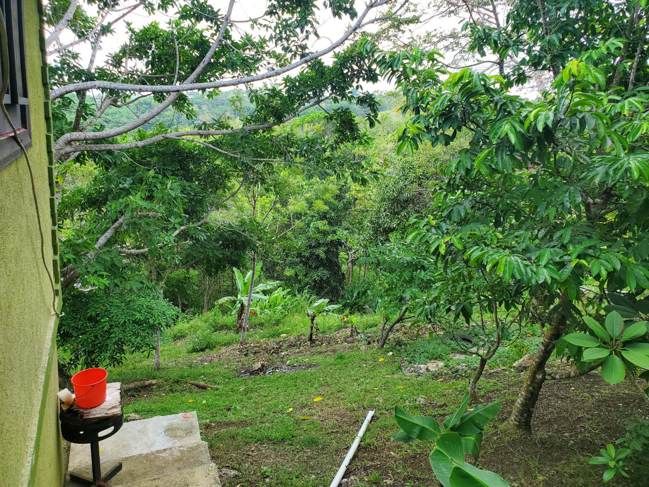 5-Acres-of-Ocean-View-Land-for-Sale-in-St.-Ann-Jamaica Twenty-First image of 215 Free Hill in St. Ann's Bay, St. Ann, Jamaica - property is For Sale