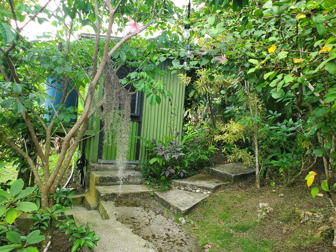 5-Acres-of-Ocean-View-Land-for-Sale-in-St.-Ann-Jamaica Twenty-Second image of 215 Free Hill in St. Ann's Bay, St. Ann, Jamaica - property is For Sale