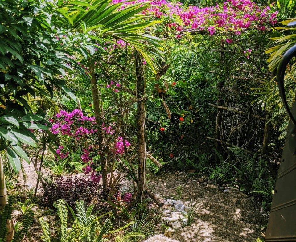 Twenty-Third image of 215 Free Hill in St. Ann's Bay, St. Ann, Jamaica - property is For Sale