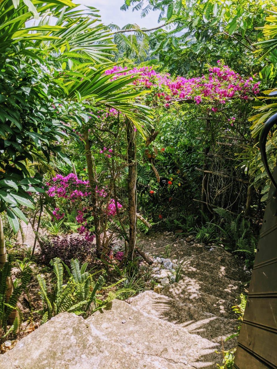 5-Acres-of-Ocean-View-Land-for-Sale-in-St.-Ann-Jamaica Twenty-Third image of 215 Free Hill in St. Ann's Bay, St. Ann, Jamaica - property is For Sale