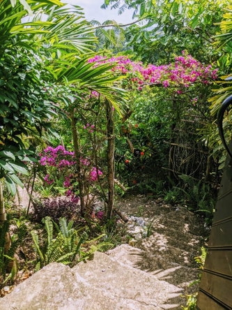 Twenty-Third image of 215 Free Hill in St. Ann's Bay, St. Ann, Jamaica - property is For Sale