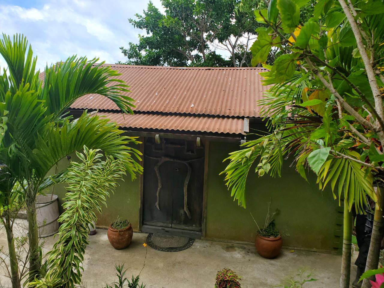 5-Acres-of-Ocean-View-Land-for-Sale-in-St.-Ann-Jamaica Twenty-Fourth image of 215 Free Hill in St. Ann's Bay, St. Ann, Jamaica - property is For Sale