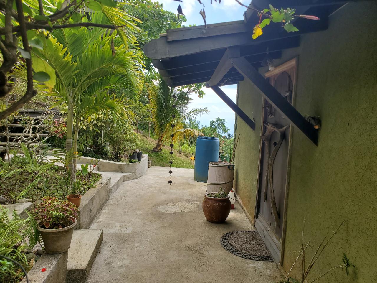 5-Acres-of-Ocean-View-Land-for-Sale-in-St.-Ann-Jamaica Twenty-Fifth image of 215 Free Hill in St. Ann's Bay, St. Ann, Jamaica - property is For Sale