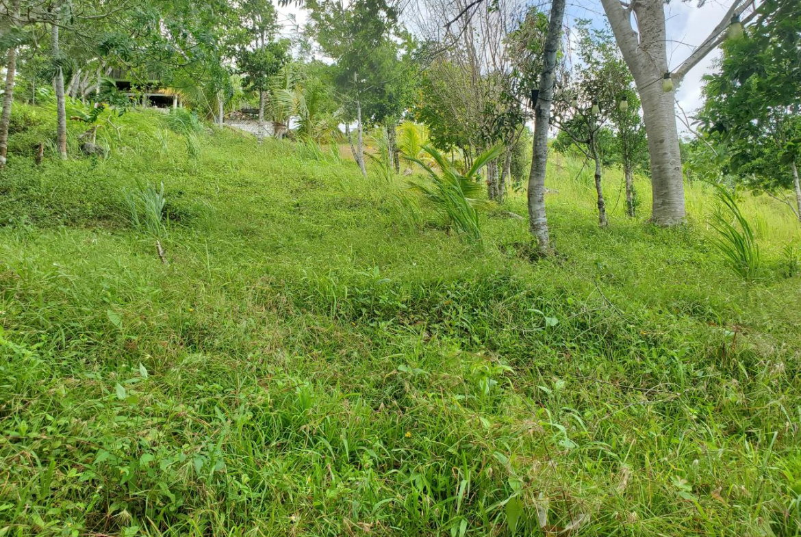 Twenty-Sixth image of 215 Free Hill in St. Ann's Bay, St. Ann, Jamaica - property is For Sale