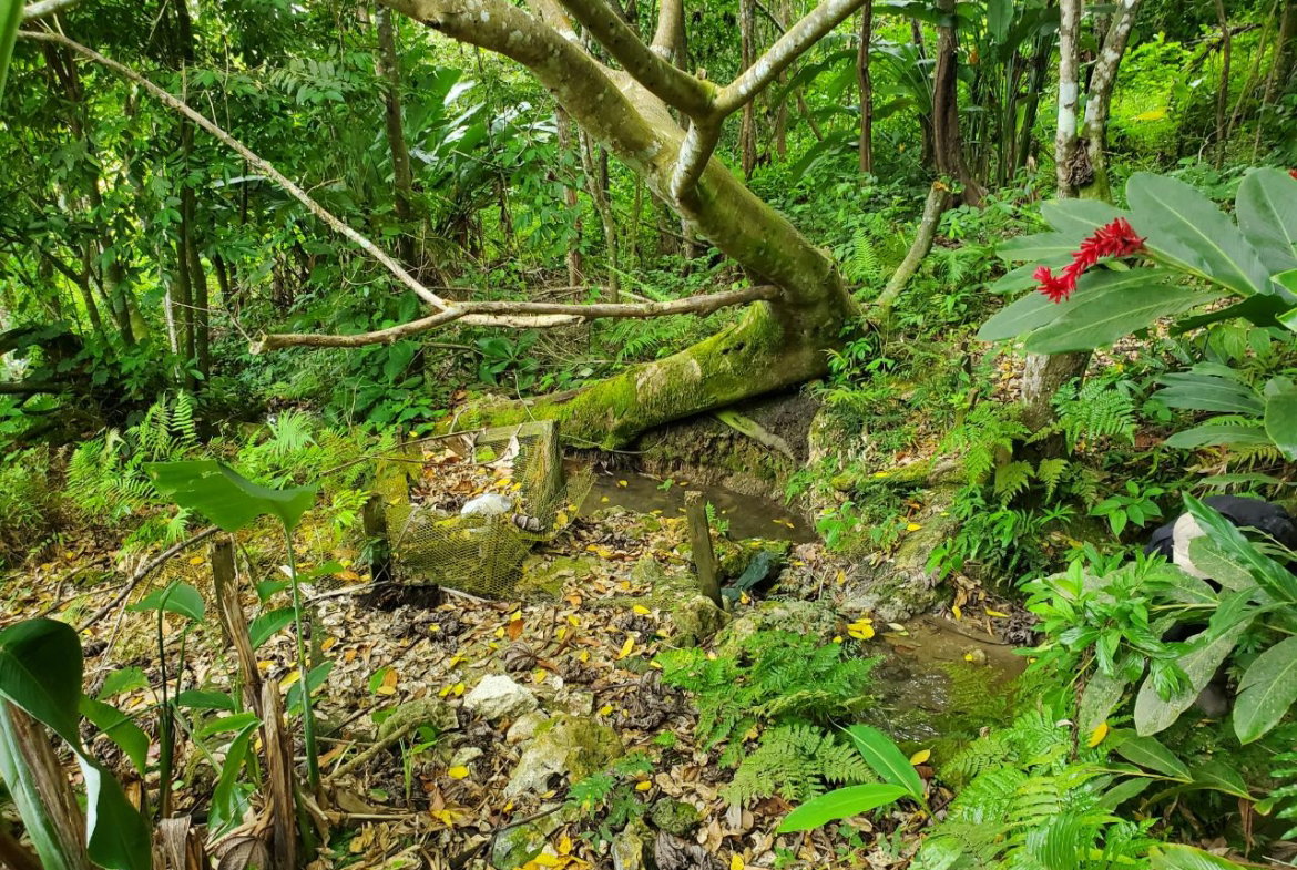 Twenty-Eighth image of 215 Free Hill in St. Ann's Bay, St. Ann, Jamaica - property is For Sale
