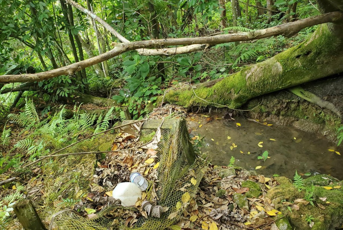 Twenty-Ninth image of 215 Free Hill in St. Ann's Bay, St. Ann, Jamaica - property is For Sale