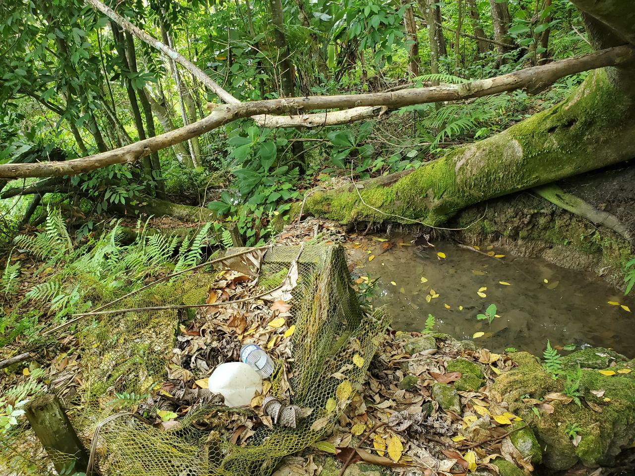 5-Acres-of-Ocean-View-Land-for-Sale-in-St.-Ann-Jamaica Twenty-Ninth image of 215 Free Hill in St. Ann's Bay, St. Ann, Jamaica - property is For Sale
