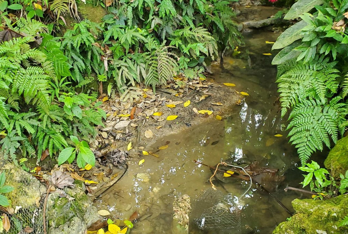 Thirtieth image of 215 Free Hill in St. Ann's Bay, St. Ann, Jamaica - property is For Sale