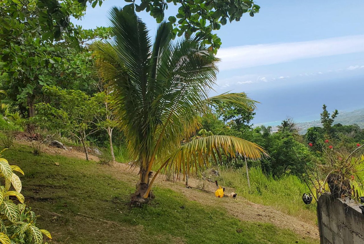 Fourth image of 215 Free Hill in St. Ann's Bay, St. Ann, Jamaica - property is For Sale