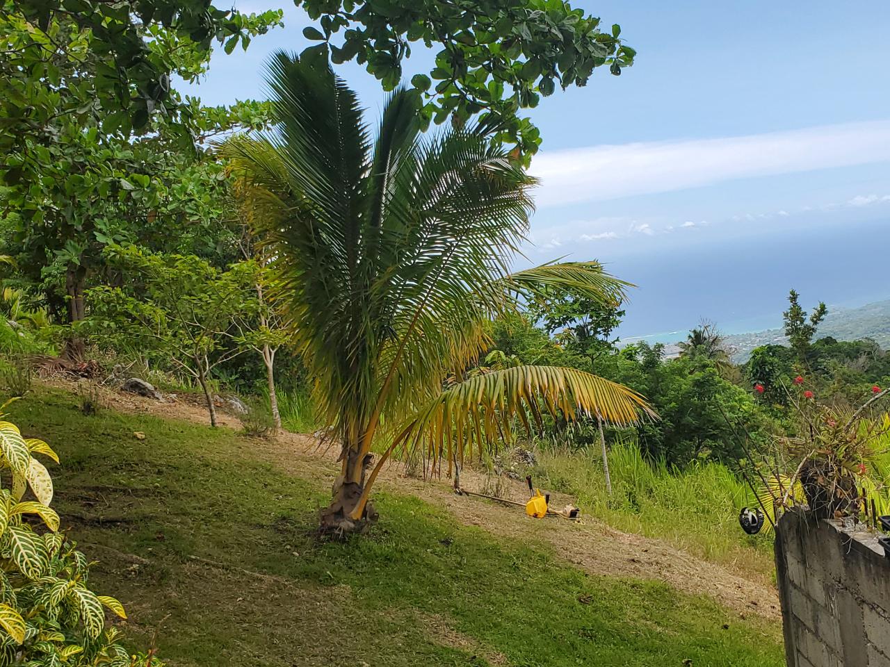 5-Acres-of-Ocean-View-Land-for-Sale-in-St.-Ann-Jamaica Fourth image of 215 Free Hill in St. Ann's Bay, St. Ann, Jamaica - property is For Sale