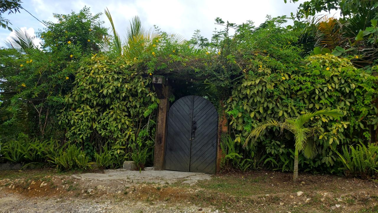 5-Acres-of-Ocean-View-Land-for-Sale-in-St.-Ann-Jamaica Fifth image of 215 Free Hill in St. Ann's Bay, St. Ann, Jamaica - property is For Sale