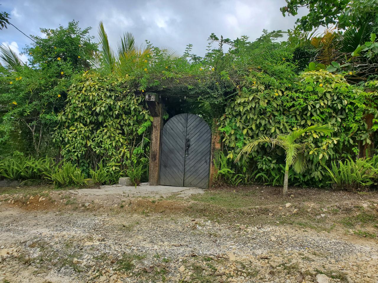 5-Acres-of-Ocean-View-Land-for-Sale-in-St.-Ann-Jamaica Sixth image of 215 Free Hill in St. Ann's Bay, St. Ann, Jamaica - property is For Sale