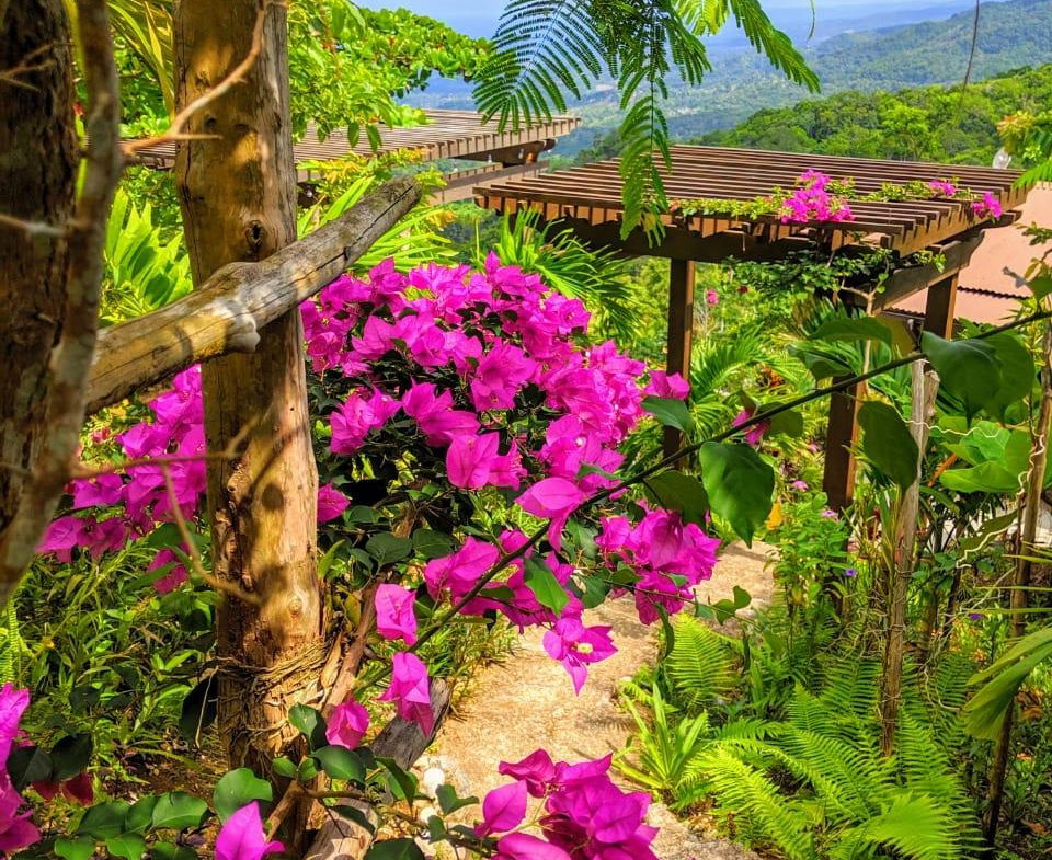 Ninth image of 215 Free Hill in St. Ann's Bay, St. Ann, Jamaica - property is For Sale