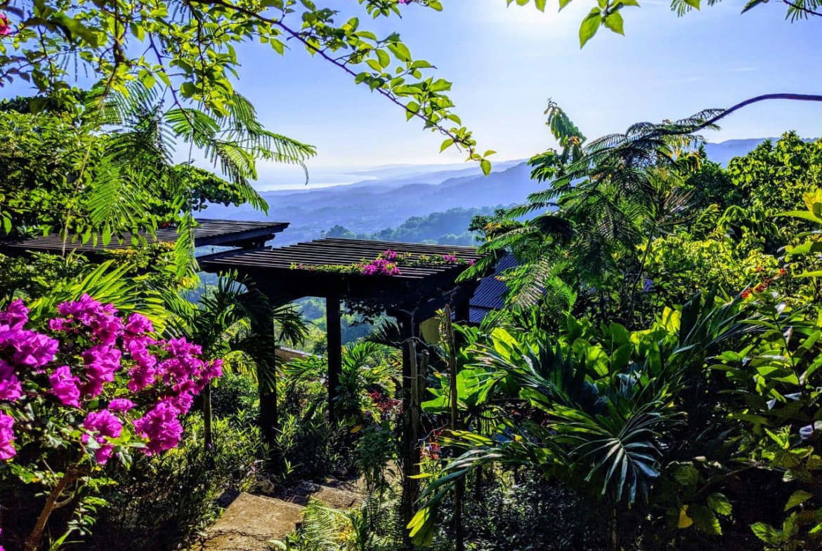 Tenth image of 215 Free Hill in St. Ann's Bay, St. Ann, Jamaica - property is For Sale