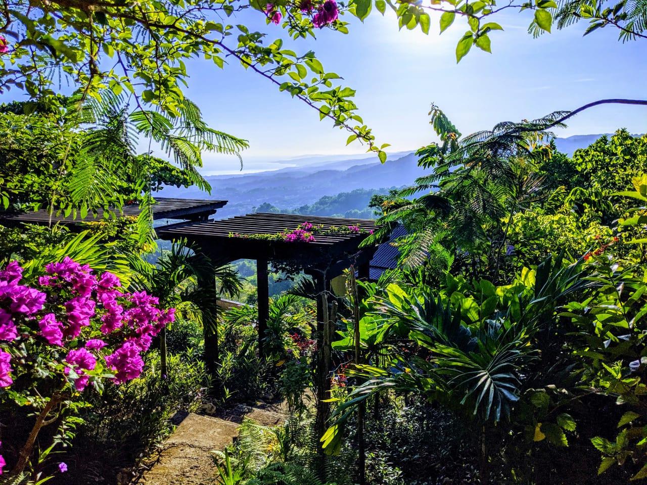 5-Acres-of-Ocean-View-Land-for-Sale-in-St.-Ann-Jamaica Tenth image of 215 Free Hill in St. Ann's Bay, St. Ann, Jamaica - property is For Sale