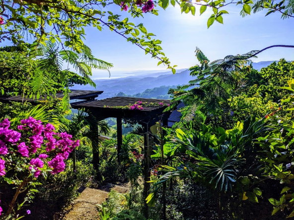 Tenth image of 215 Free Hill in St. Ann's Bay, St. Ann, Jamaica - property is For Sale