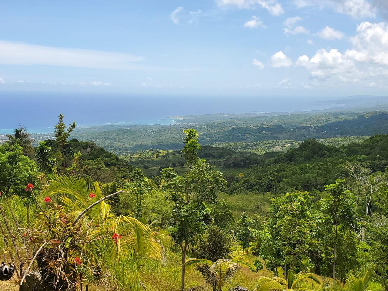 5-Acres-of-Ocean-View-Land-for-Sale-in-St.-Ann-Jamaica First image of 215 Free Hill in St. Ann's Bay, St. Ann, Jamaica - property is For Sale