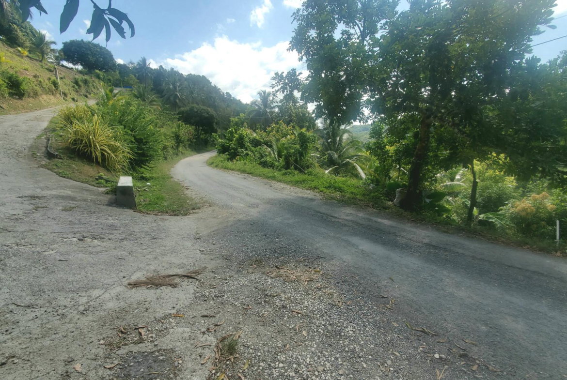 Second image of Mount Stewart in Wilmington, St. Thomas, Jamaica - property is For Sale