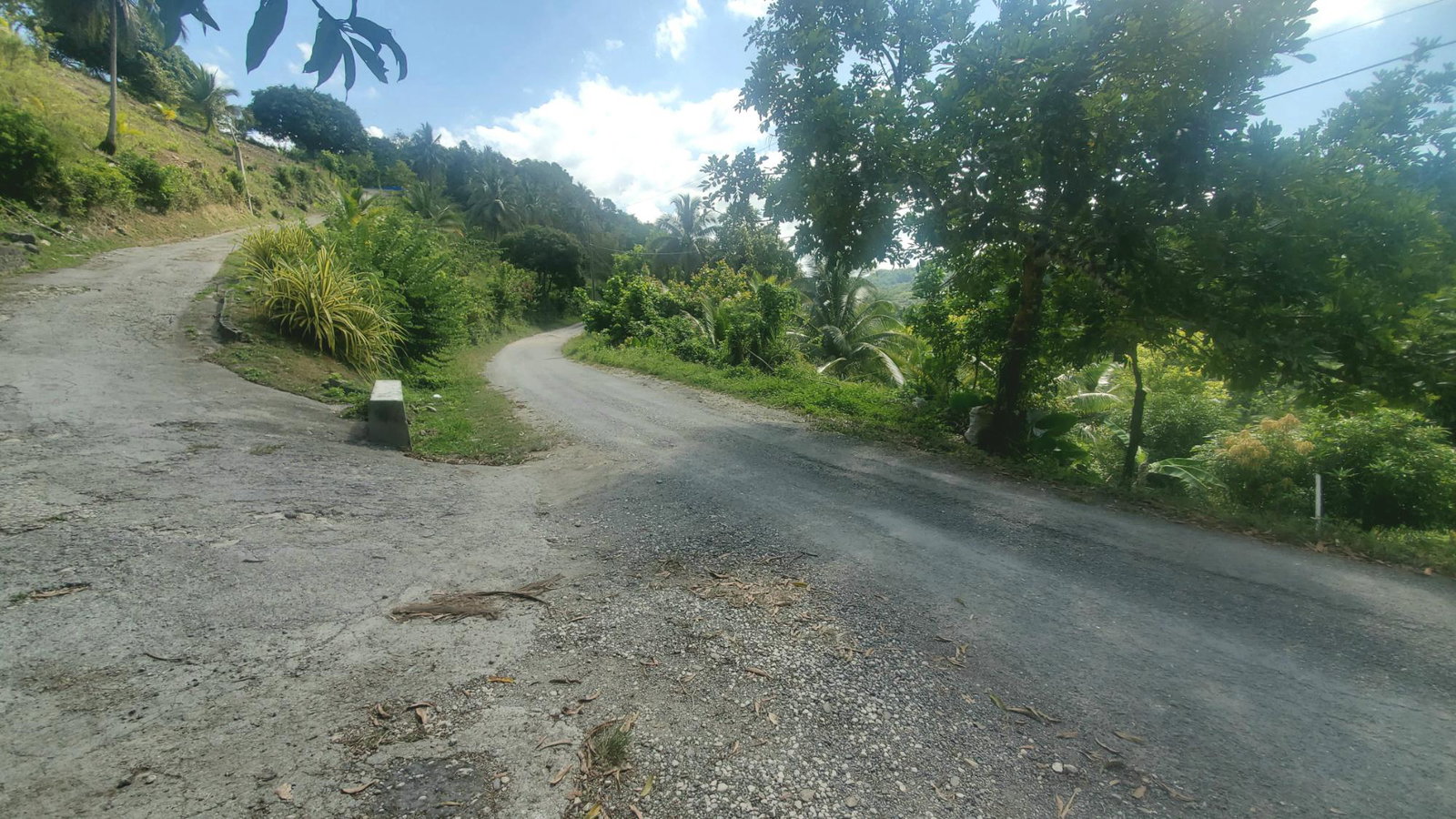 5-Acres-of-Prime-Agricultural-Land-for-Sale-in-Mount-Stewart-Jamaica Second image of Mount Stewart in Wilmington, St. Thomas, Jamaica - property is For Sale