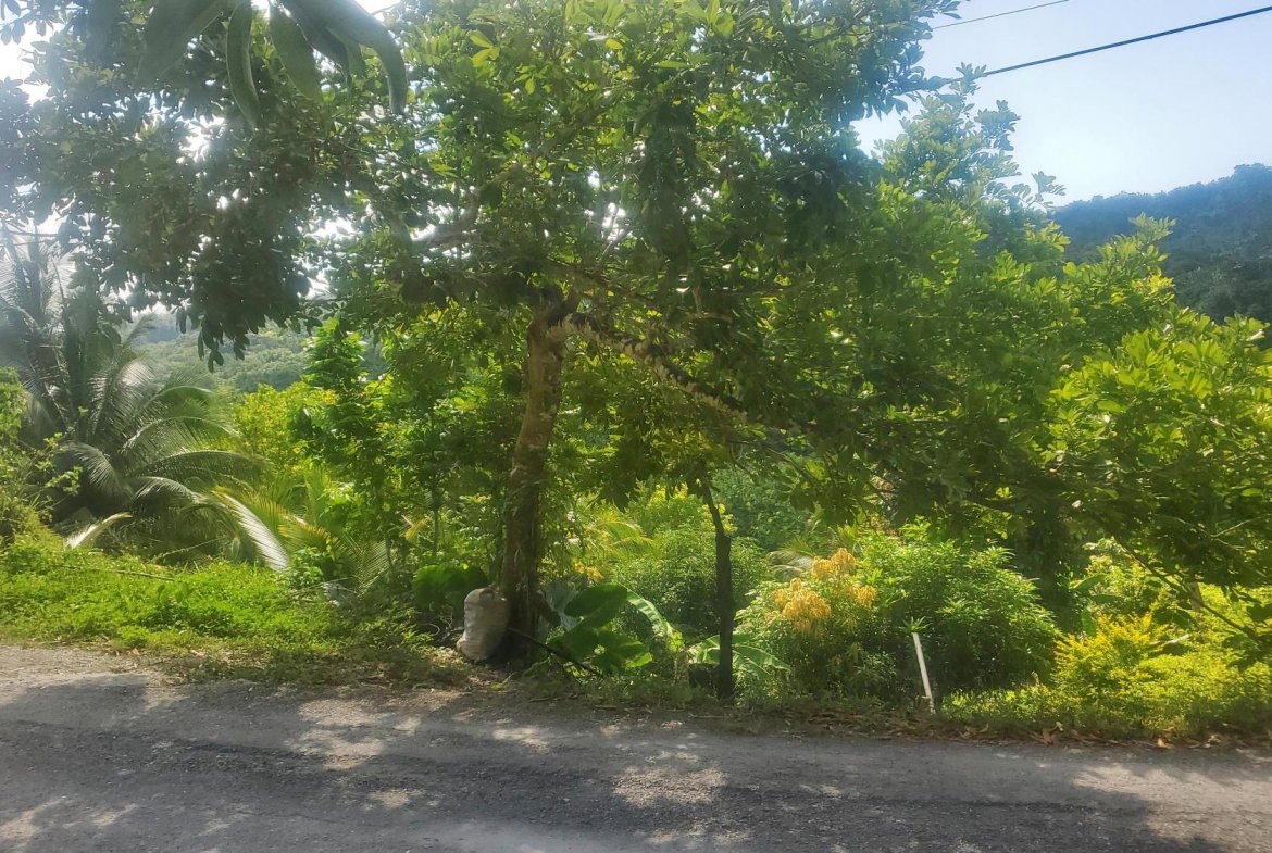 First image of Mount Stewart in Wilmington, St. Thomas, Jamaica - property is For Sale