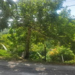 First image of Mount Stewart in Wilmington, St. Thomas, Jamaica - property is For Sale