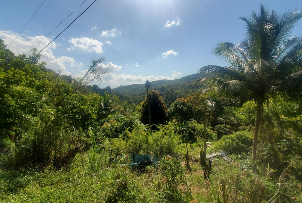 Third image of Mount Stewart in Wilmington, St. Thomas, Jamaica - property is For Sale