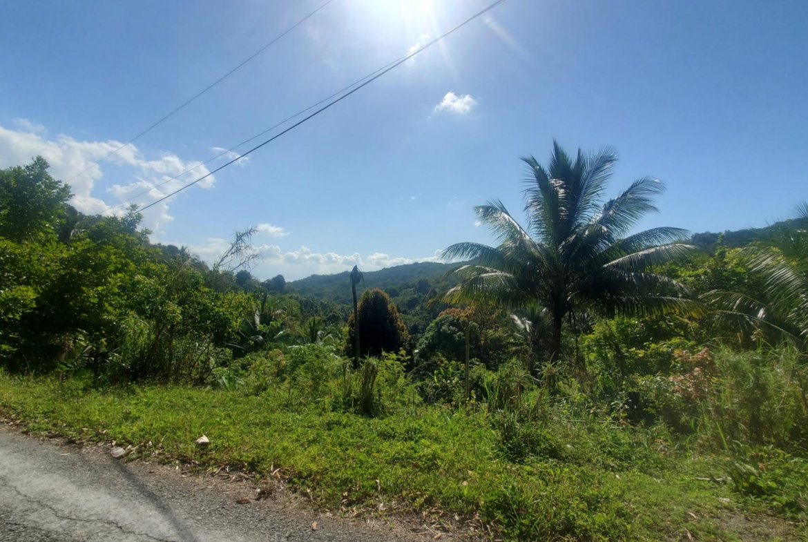 Fourth image of Mount Stewart in Wilmington, St. Thomas, Jamaica - property is For Sale