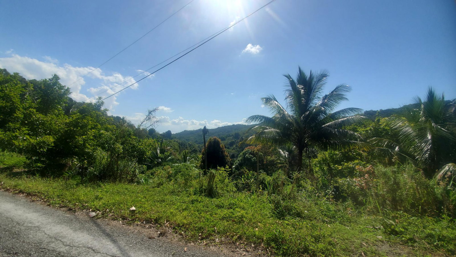 5-Acres-of-Prime-Agricultural-Land-for-Sale-in-Mount-Stewart-Jamaica Fourth image of Mount Stewart in Wilmington, St. Thomas, Jamaica - property is For Sale