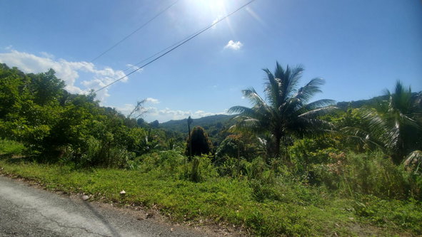 Fourth image of Mount Stewart in Wilmington, St. Thomas, Jamaica - property is For Sale