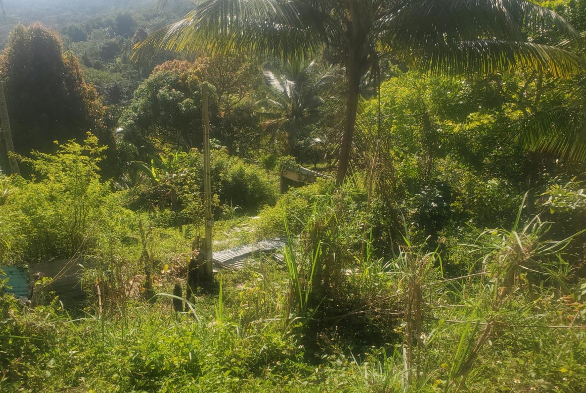 Fifth image of Mount Stewart in Wilmington, St. Thomas, Jamaica - property is For Sale