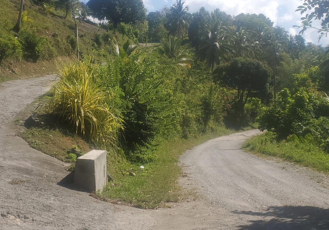 Eighth image of Mount Stewart in Wilmington, St. Thomas, Jamaica - property is For Sale