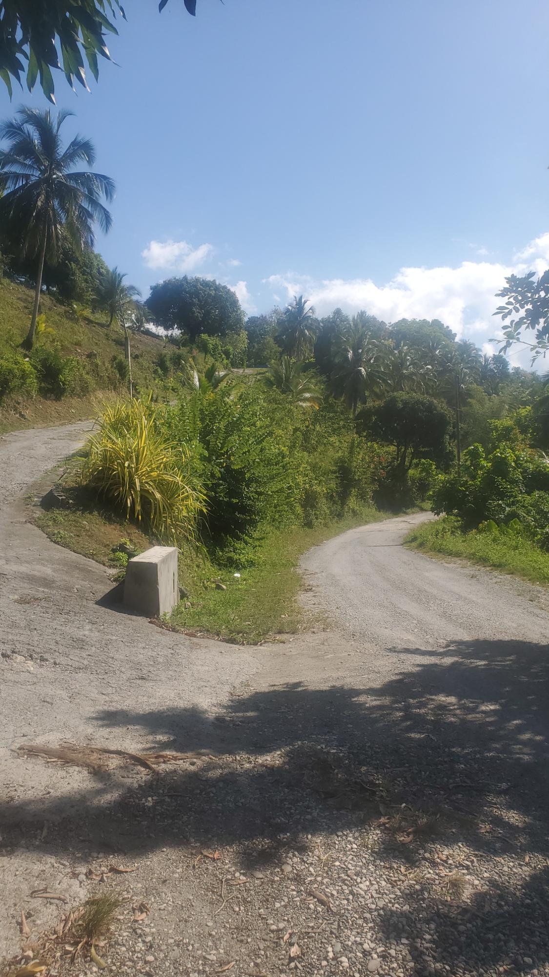5-Acres-of-Prime-Agricultural-Land-for-Sale-in-Mount-Stewart-Jamaica Eighth image of Mount Stewart in Wilmington, St. Thomas, Jamaica - property is For Sale