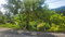 First image of Mount Stewart in Wilmington, St. Thomas, Jamaica - property is For Sale