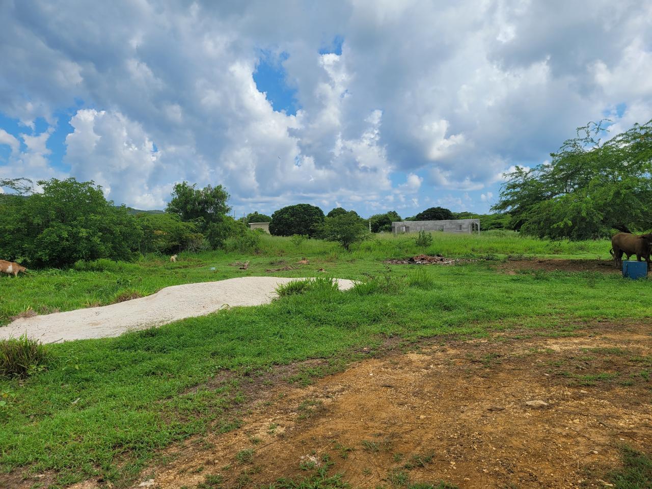 Second image of Lenons Wood in Treasure Beach, St. Elizabeth, Jamaica - property is For Sale