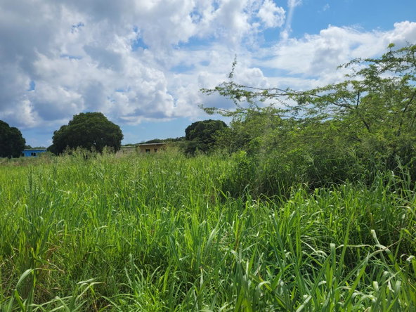 Fourth image of Lenons Wood in Treasure Beach, St. Elizabeth, Jamaica - property is For Sale