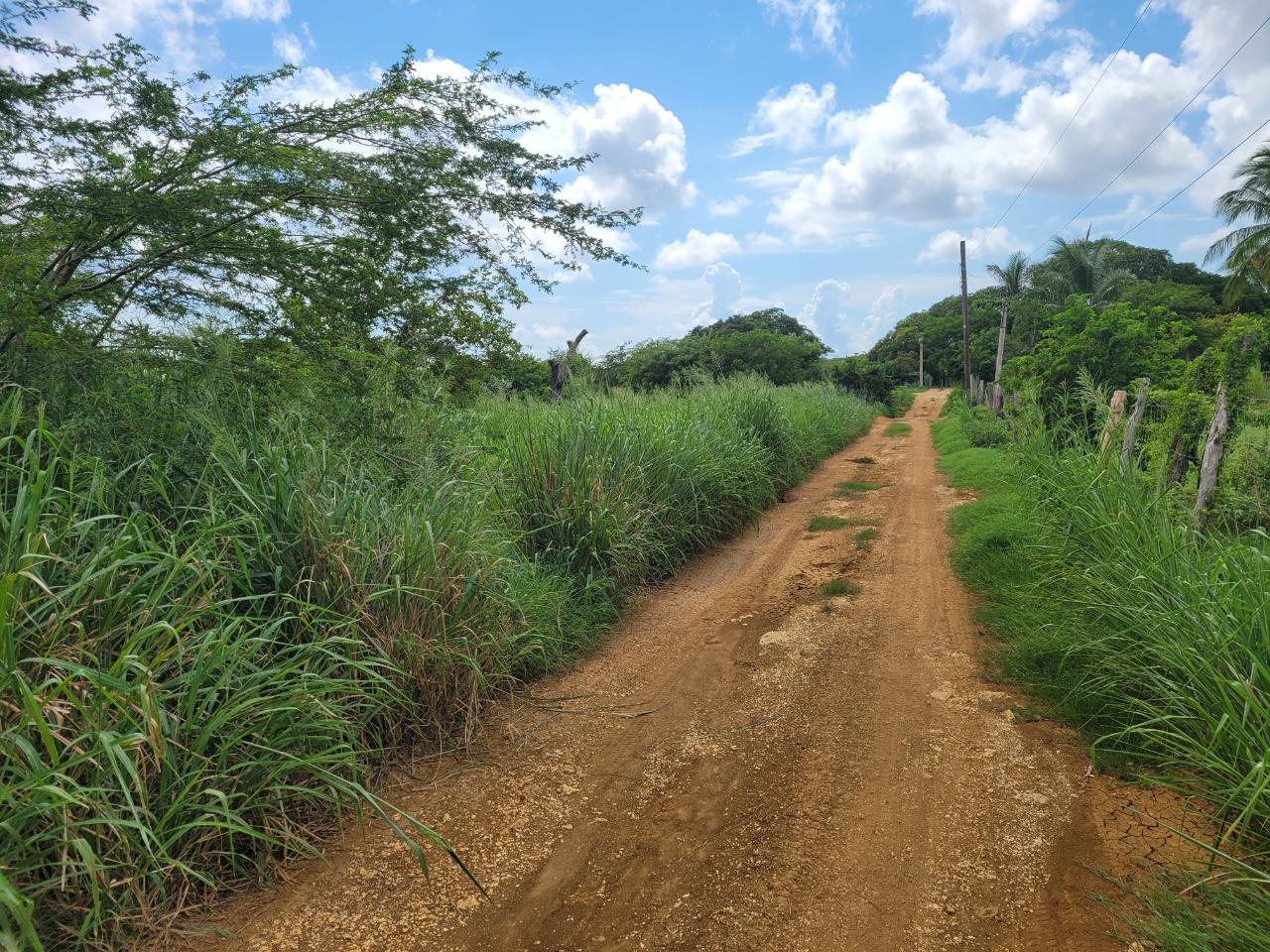 Sixth image of Lenons Wood in Treasure Beach, St. Elizabeth, Jamaica - property is For Sale