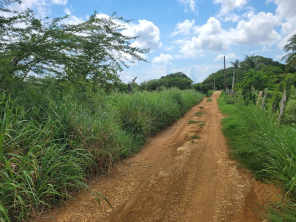 Sixth image of Lenons Wood in Treasure Beach, St. Elizabeth, Jamaica - property is For Sale