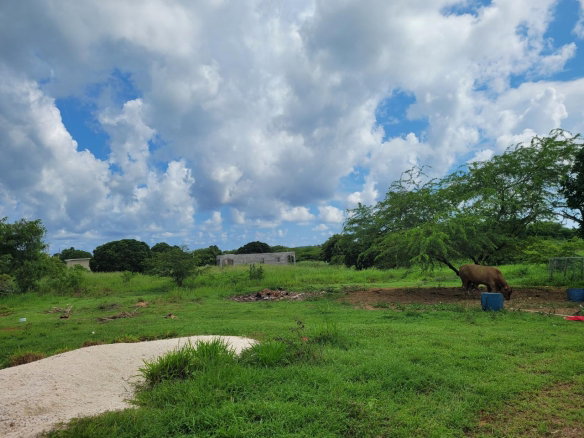 First image of Lenons Wood in Treasure Beach, St. Elizabeth, Jamaica - property is For Sale
