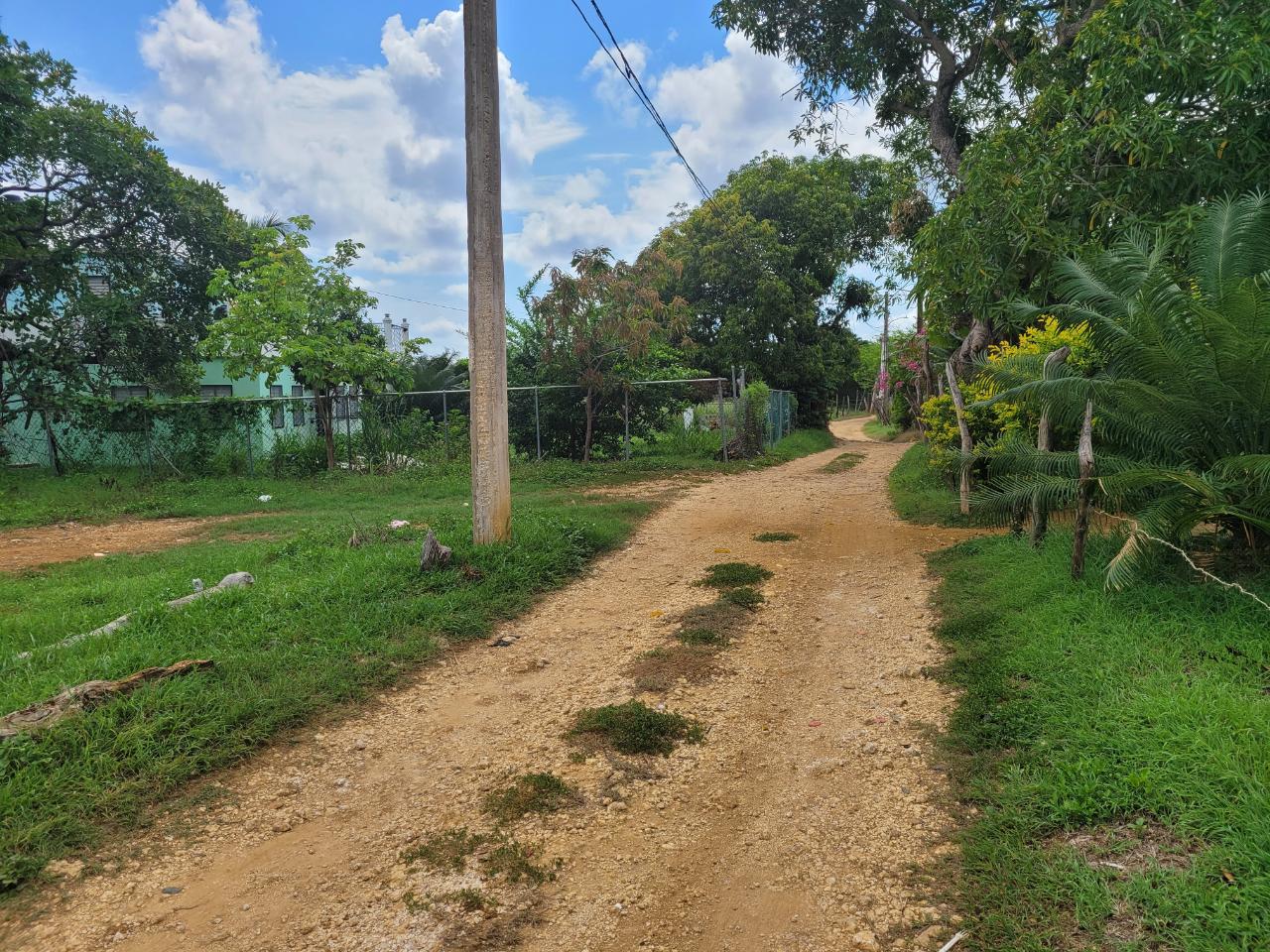 Seventh image of Lenons Wood in Treasure Beach, St. Elizabeth, Jamaica - property is For Sale