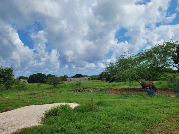 First image of Lenons Wood in Treasure Beach, St. Elizabeth, Jamaica - property is For Sale