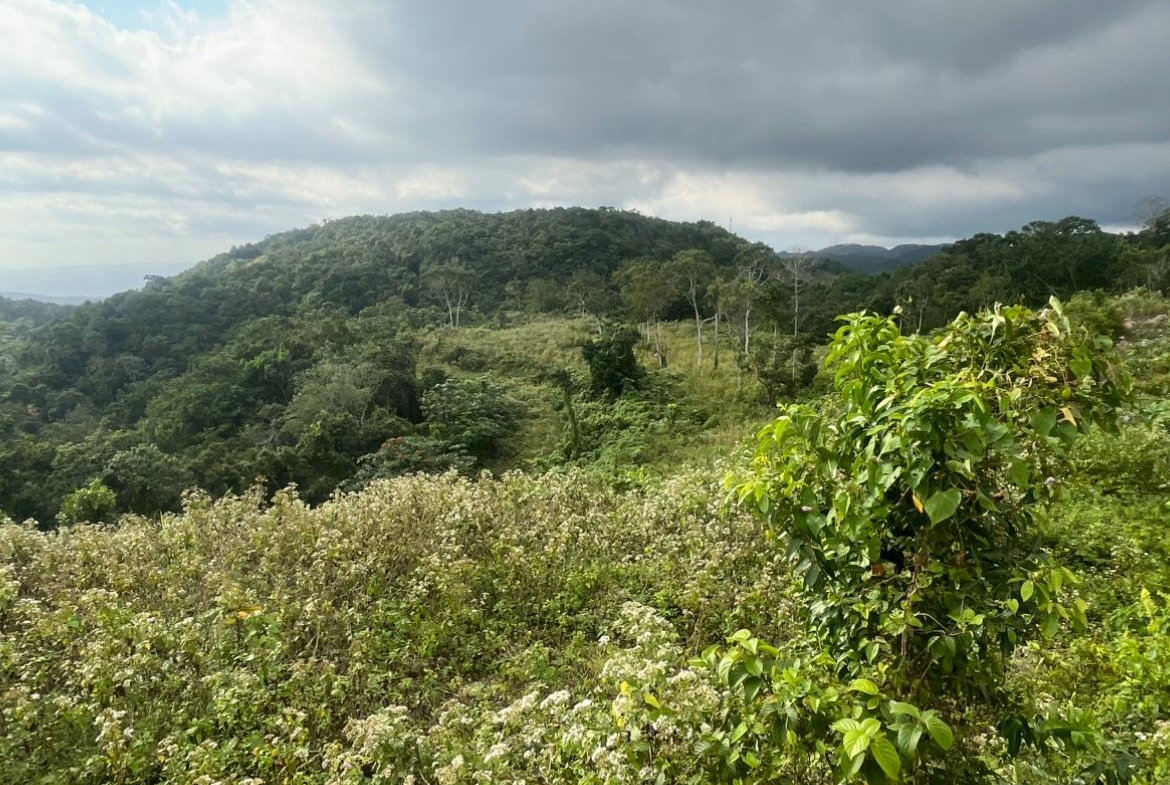Second image of Land Part of Oldburn Hill in Sligoville, St. Catherine, Jamaica - property is For Sale