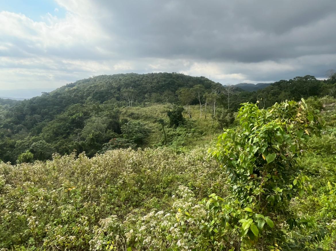 Second image of Land Part of Oldburn Hill in Sligoville, St. Catherine, Jamaica - property is For Sale