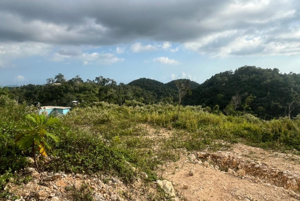 Third image of Land Part of Oldburn Hill in Sligoville, St. Catherine, Jamaica - property is For Sale