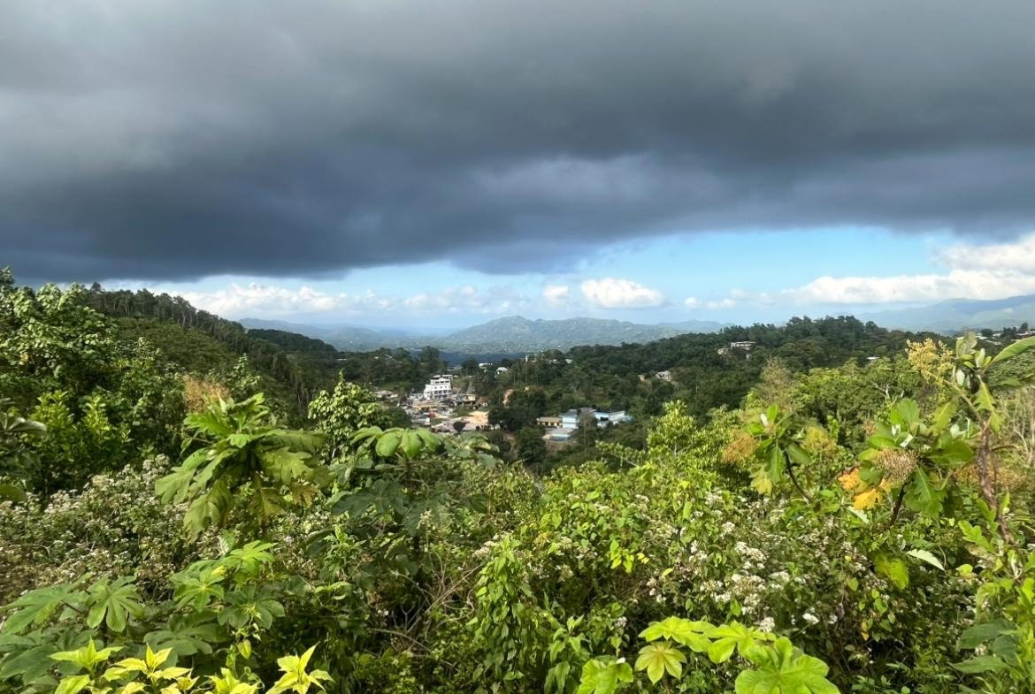 Fourth image of Land Part of Oldburn Hill in Sligoville, St. Catherine, Jamaica - property is For Sale