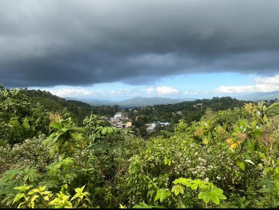 Fourth image of Land Part of Oldburn Hill in Sligoville, St. Catherine, Jamaica - property is For Sale