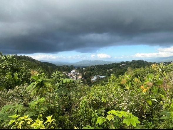 Fourth image of Land Part of Oldburn Hill in Sligoville, St. Catherine, Jamaica - property is For Sale